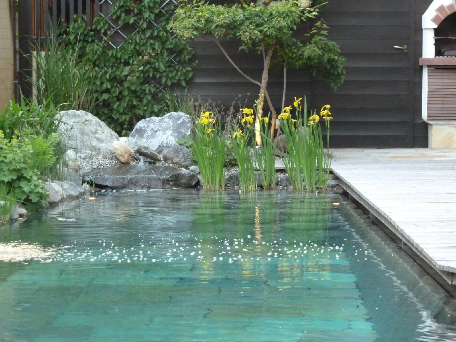 Schwimmteich anlegen Die Gartenwelt Oppl unterstützt Sie!