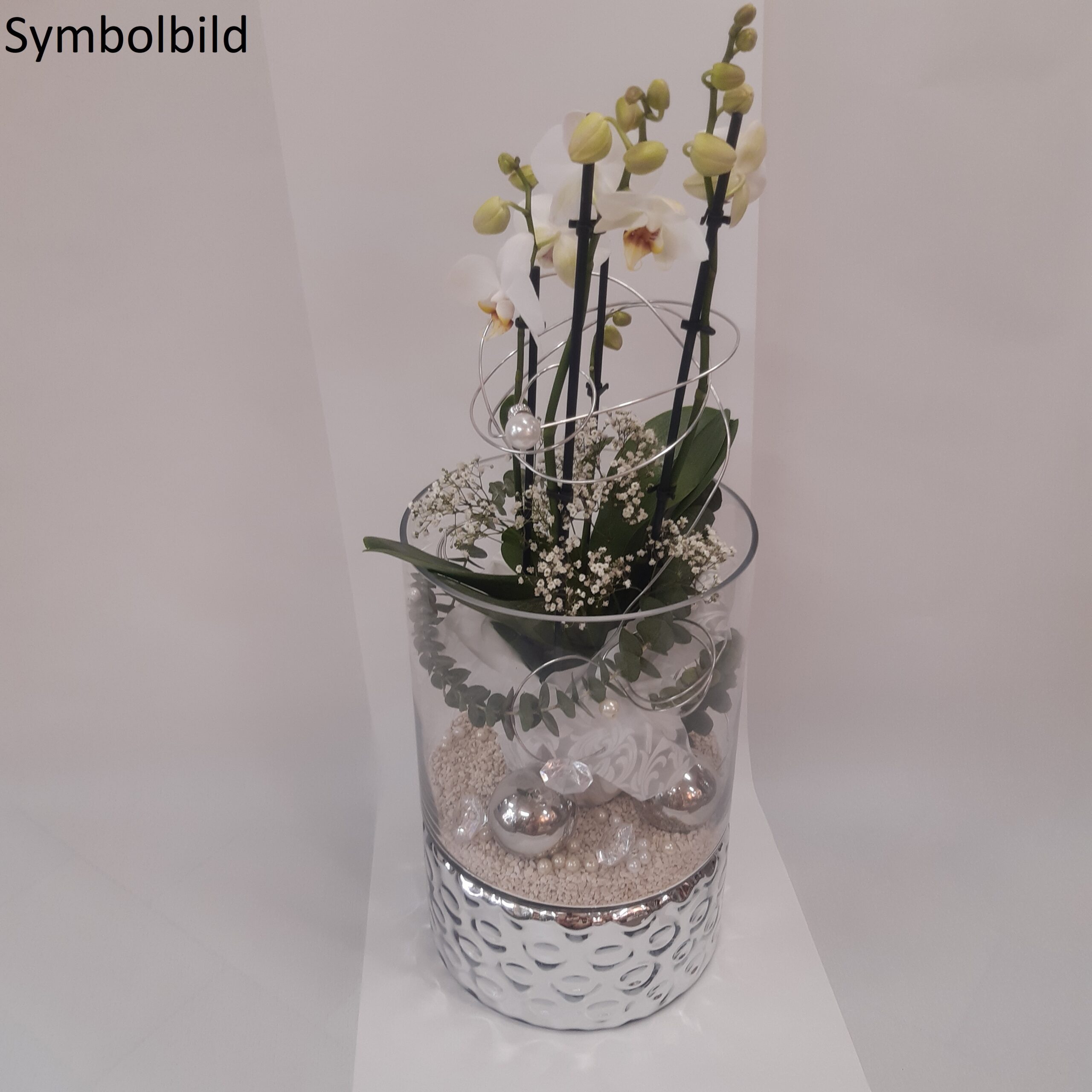 Orchidee im glas mit gelkugeln - Alle Favoriten unter allen analysierten Orchidee im glas mit gelkugeln